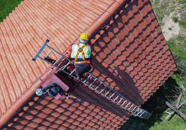 Professional Roofing service in The Colony, TX